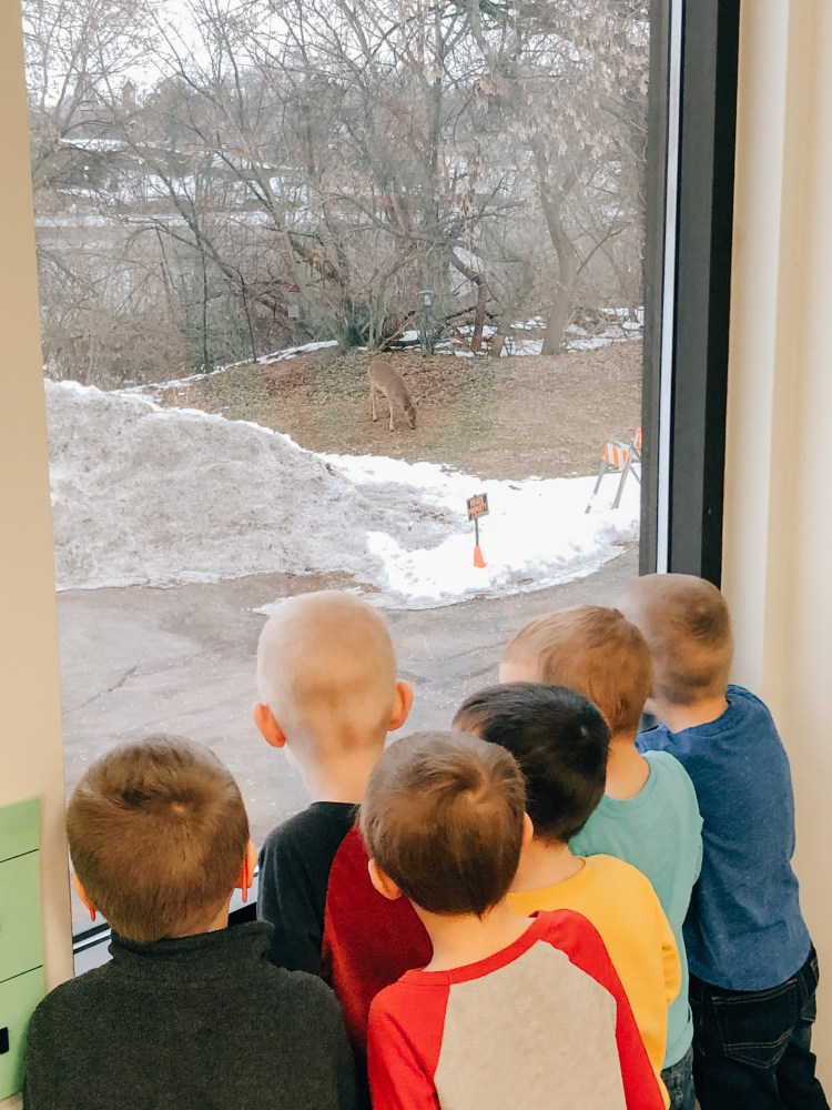 Click here for Availability, Rates and to schedule a tour!